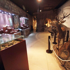 La Delegación de Patrimonio Histórico y 'Tu Historia' programan una jornada de puertas abiertas en el Museo Arqueológico y Etnológico de Lucena en el Castillo del Moral | Red de Juderías de España