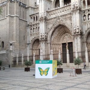 Éxito de las Jornadas Europeas de la Cultura Judía en las ciudades de la Red